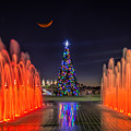 Christmas Tree In Curtis Hixon Park